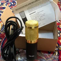 میکروفون حرفه ای