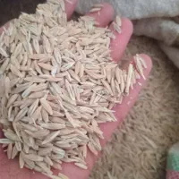 حدود 2تن جو امسال فروش دارم