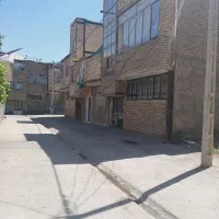 زمین-قلفتی-توس-33-شقایق