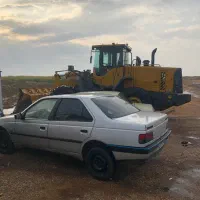 کاه نیشکر خشک مناسب دام بصرفه|حیوانات مزرعه|یاسوج, |دیوار