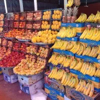 شراکت برای  میوه
