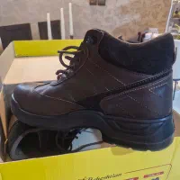 کفش ایمنی بهشتیان