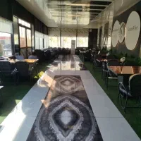 ظرفشور خانم