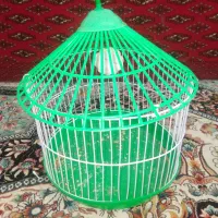 قفس|لوازم جانبی حیوانات|سرخس, |دیوار