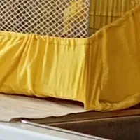 قناری ماده،مست و آماده