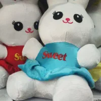 استخدام نیرو کار