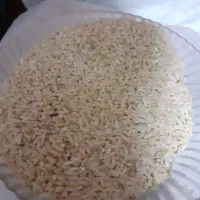 برنج قهوه ای سبوسدار