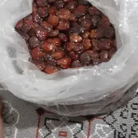 ترشی انبه و.. دستساز بندری و خرمای نرم و درجه1