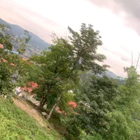 زمین با کاربری مسکونی ۲۳۲ متر  ، روستا کنیج کلا