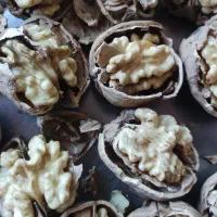 گردوی چندلروفرنور|خوردنی و آشامیدنی|سردشت, |دیوار