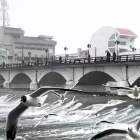 عرصه-و-اعیان63مترمغازه-فروش-معاوضه-مالکم