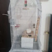 قفس پرنده