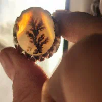 انگشترشجردست ساز