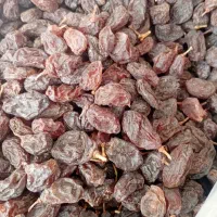 ۳ تون کشمش افتابی