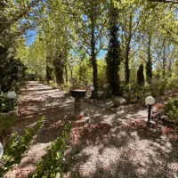 اجاره باغ و ویلا/جکوزی آب گرم|اجارهٔ کوتاه‌مدت ویلا و باغ|همایجان, |دیوار