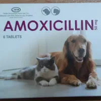 شراکت در شرکت پخش دارویی