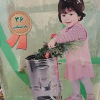 سبزی خرد کن برقی