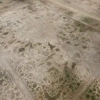 فرش جفت ۹متری|فرش|تهران, شهرک ولیعصر شمالی|دیوار