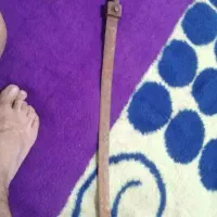 شمشیر قدیمی|کلکسیون اشیاء عتیقه|نجفآباد, حومه نجف آباد|دیوار