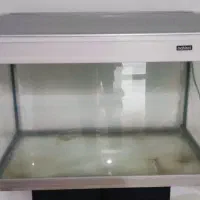 آکواریوم شرکتی