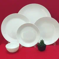 انواع ظروف اوپال و چینی