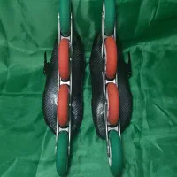 اسکیت سرعت|دوچرخه، اسکیت، اسکوتر|گرگان, |دیوار