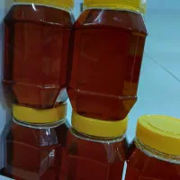 عسل طبیعی|خوردنی و آشامیدنی|شیراز, شاهچراغ|دیوار