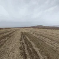 زمین-کشاورزی