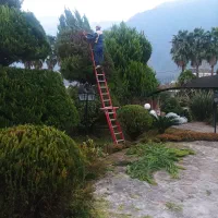 گلکاری هرس سمپاشی آبیاری قطره ای