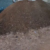 کود حیوانی مال گوسفند