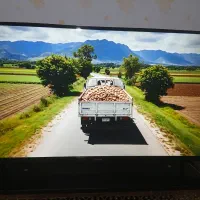 تلویزیون ۴۳ اینچ