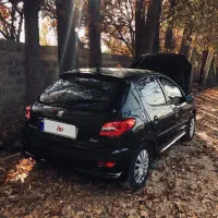 206 تیپ دو کارمندی کم مصرف|خودرو سواری و وانت|صدرا-فارس, فاز ۲|دیوار