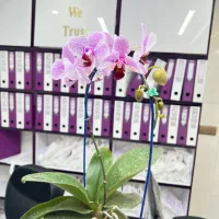 منشی خانم پذیرش کلینیک لیزر شیفت عصر