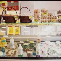 به تعدادی حسابدار وفروشنده وکارگر ساده نیازندیم
