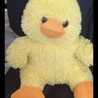 عروسک گم شده