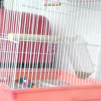 دوتاقفس با تمام لوازم