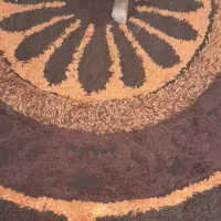 شگی