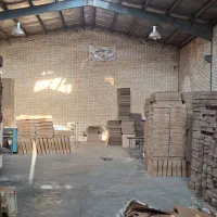 کارگر ساده در کارتن سازی