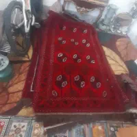 فرش سنتی دستبافت|گلیم، جاجیم، گبه|تهران, دکتر هوشیار|دیوار