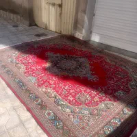 فرش|فرش|اردبیل, |دیوار