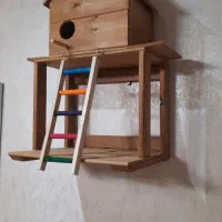لانه پرنده چوبی
