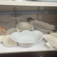 ظروف پذیرایی