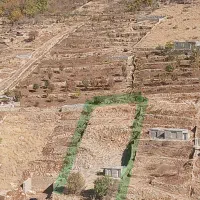 قطعه زمین فروشی