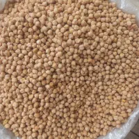 نخود ممتاز بار امسال|عمده‌فروشی|اهر, |دیوار