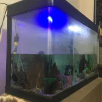 اکواریوم شیشه خم حرفه ای ماهیران