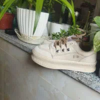 کفش|کیف، کفش، کمربند|لردگان, |دیوار