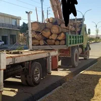 برش و خرید انواع درخت و چوب