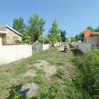 زمین باغی با نامه بنیاد مسکن 200 متری زیباکنار|فروش زمین و ملک کلنگی|خشکبیجار, |دیوار