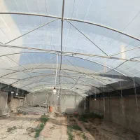 سازه گلخانه