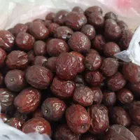 حراج عناب درجه یک کیلو ۲۰۰|حراج|مشهد, امامیه (شهرک غرب)|دیوار